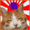 :catnawak: