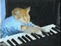 :keyboardcat:
