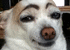 :hish: