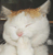 :chatmdr: